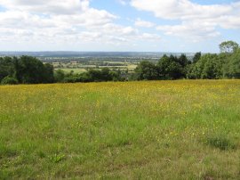 Greensand Ridge, Nr Linton